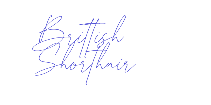 Brittish Shorthair Font