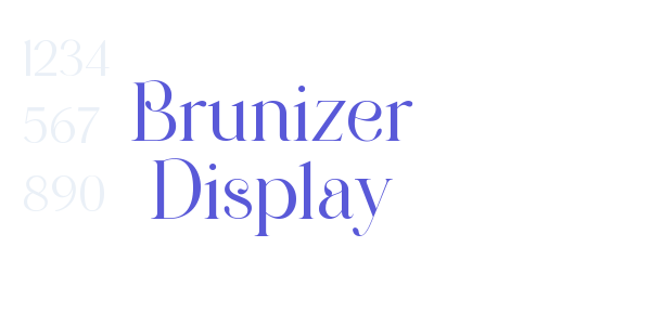 Brunizer Display font free