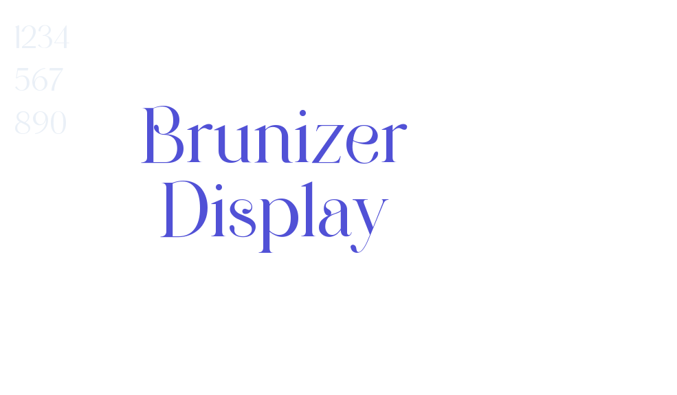 Brunizer Display-font-download