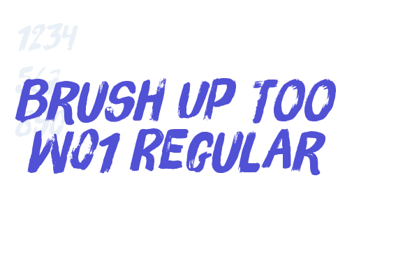 Brush Up Too W01 Regular