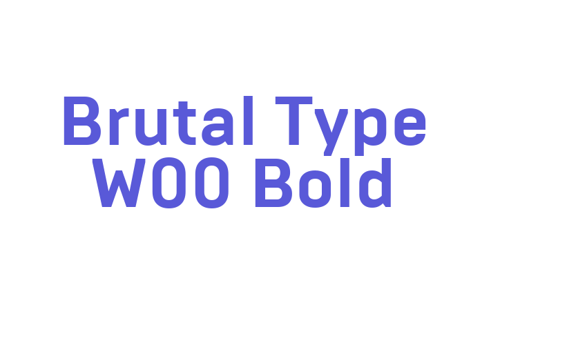 Brutal Type W00 Bold Font Download