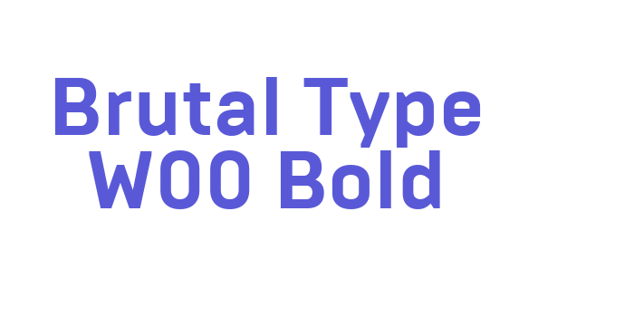 Brutal Type W00 Bold Font Download