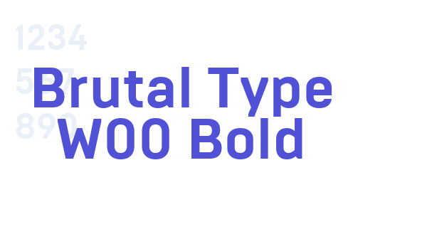 Brutal Type W00 Bold font download