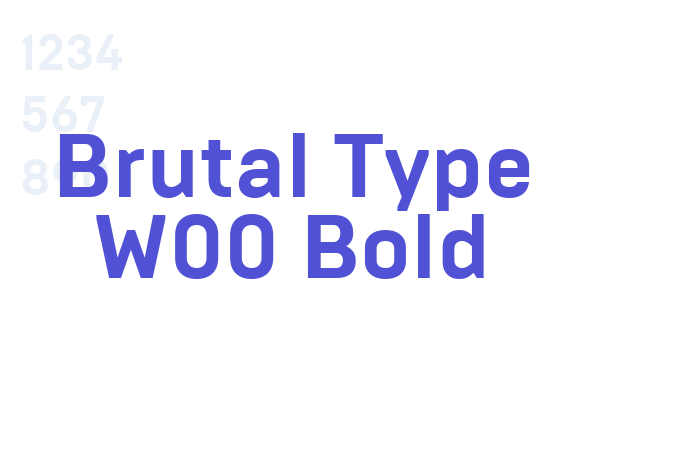 Brutal Type W00 Bold font download