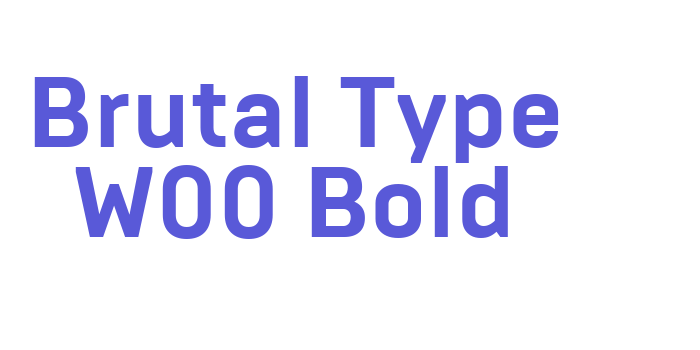 Brutal Type W00 Bold Font