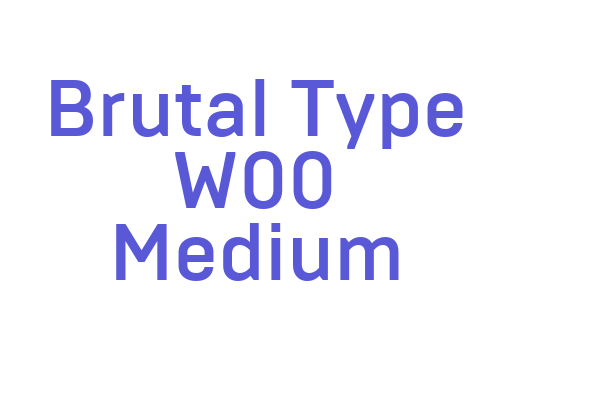 Brutal Type W00 Medium Font