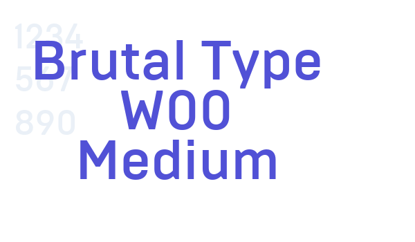 Brutal Type W00 Medium font download