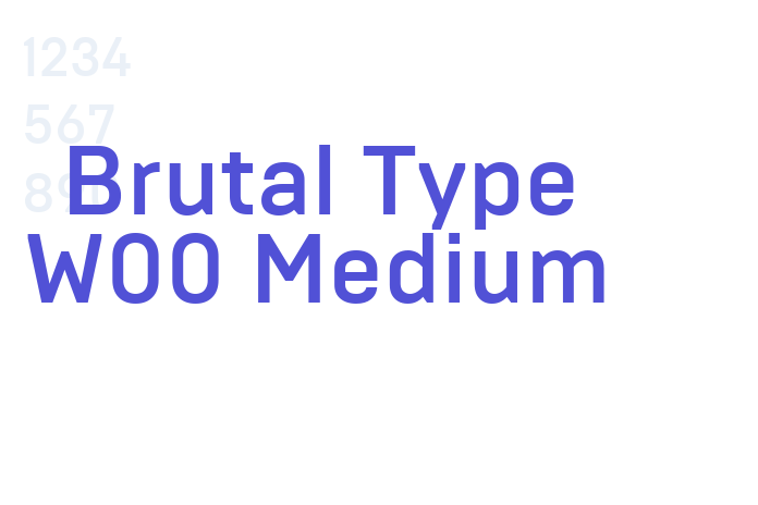 Brutal Type W00 Medium font download