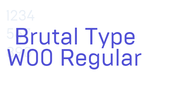 Brutal Type W00 Regular font download