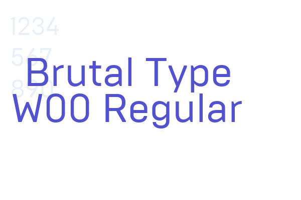 Brutal Type W00 Regular