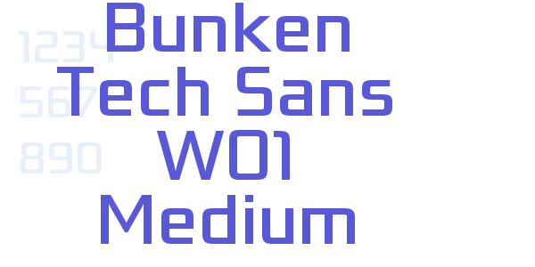 Bunken Tech Sans W01 Medium font free