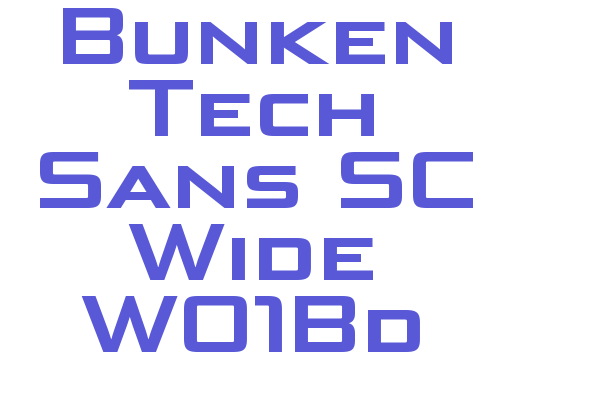 Bunken Tech Sans SC Wide W01Bd Font