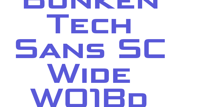 Bunken Tech Sans SC Wide W01Bd Font Download