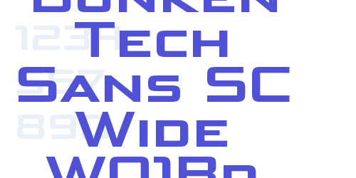 Bunken Tech Sans SC Wide W01Bd-font-download