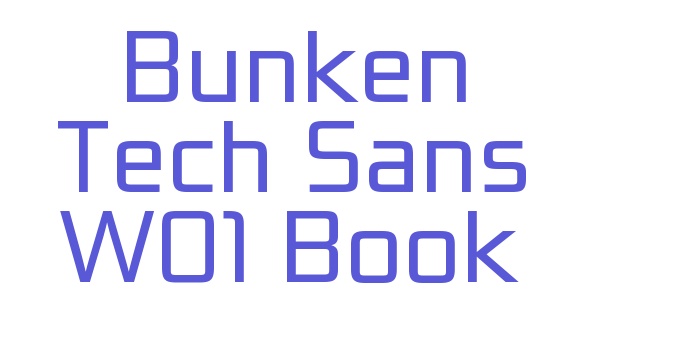 Bunken Tech Sans W01 Book Font