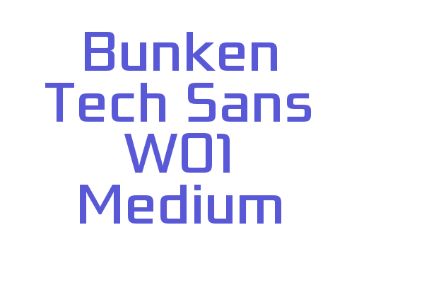 Bunken Tech Sans W01 Medium Font