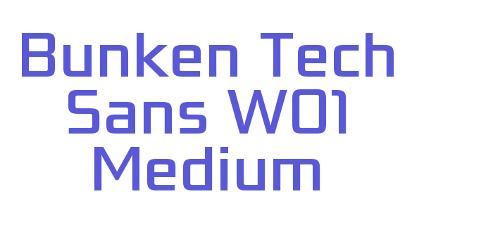 Bunken Tech Sans W01 Medium Font Download