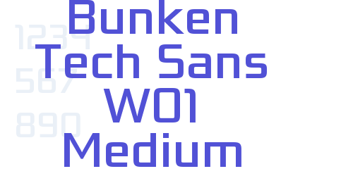 Bunken Tech Sans W01 Medium-font-download