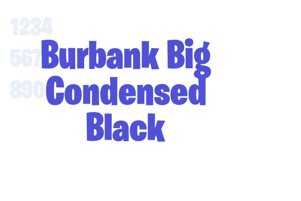 Burbank Big Condensed Black