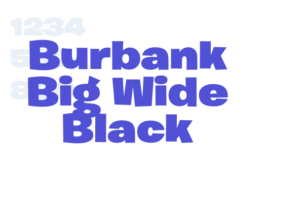 Burbank Big Wide Black