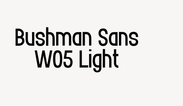 Bushman Sans W05 Light Font