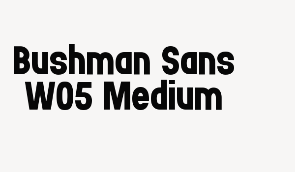 Bushman Sans W05 Medium Font