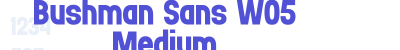 Bushman Sans W05 Medium-font