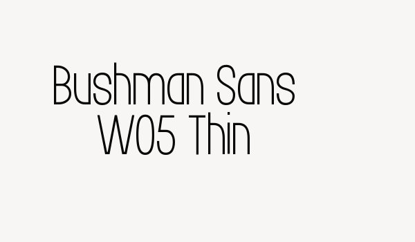 Bushman Sans W05 Thin Font