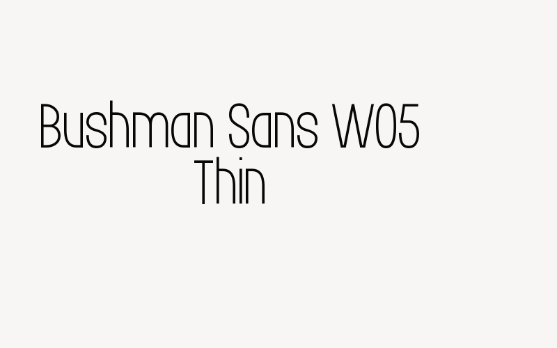 Bushman Sans W05 Thin Font