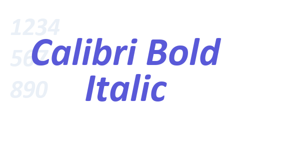 Calibri Bold Italic font