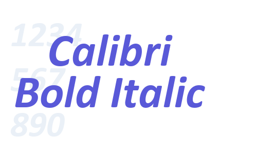 Calibri Bold Italic Font