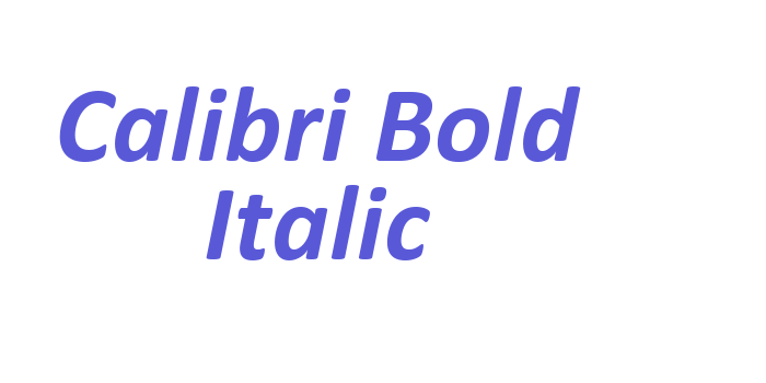 Calibri Bold Italic Font