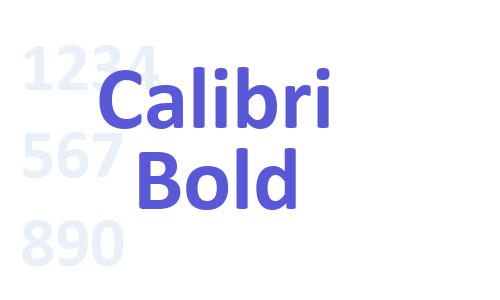 Calibri Bold Font