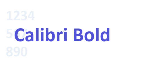 Calibri Bold