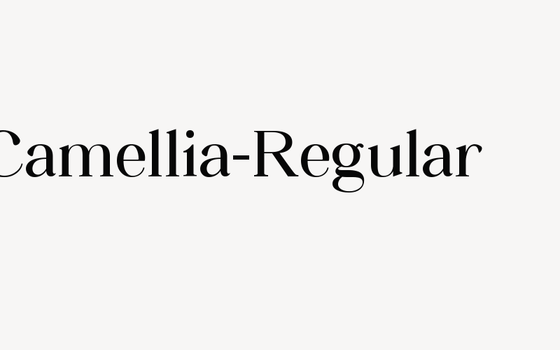 Camellia-Regular Font