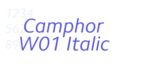 Camphor W01 Italic font free