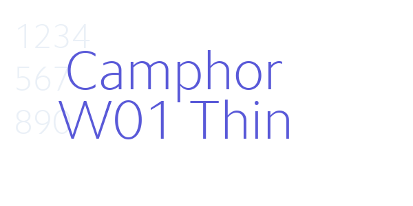 Camphor W01 Thin font free