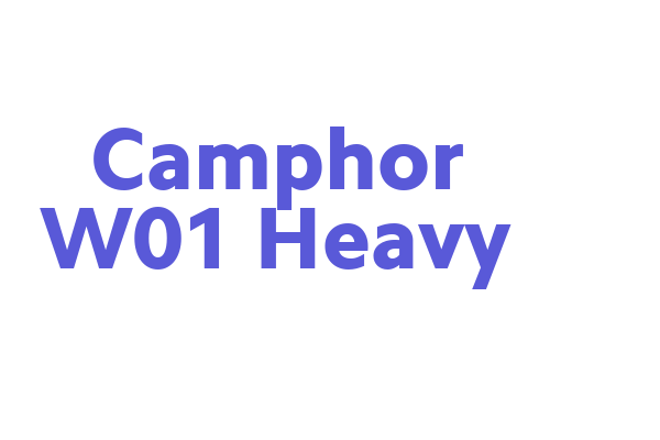 Camphor W01 Heavy Font