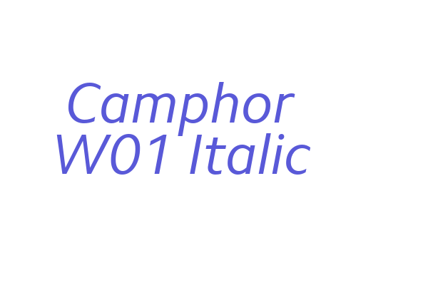 Camphor W01 Italic Font