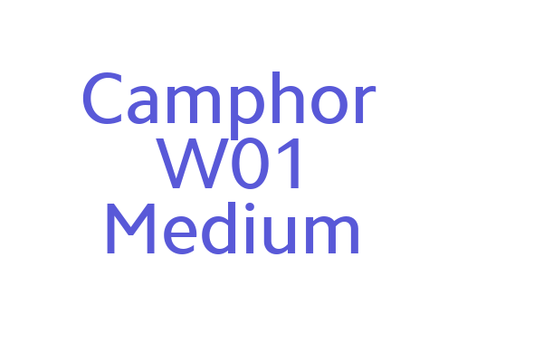 Camphor W01 Medium Font