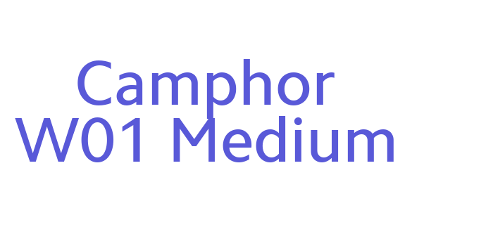 Download Camphor W01 Medium Font