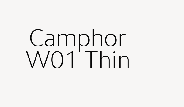 Camphor W01 Thin Font