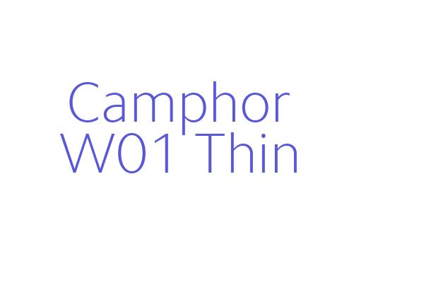 Camphor W01 Thin Font