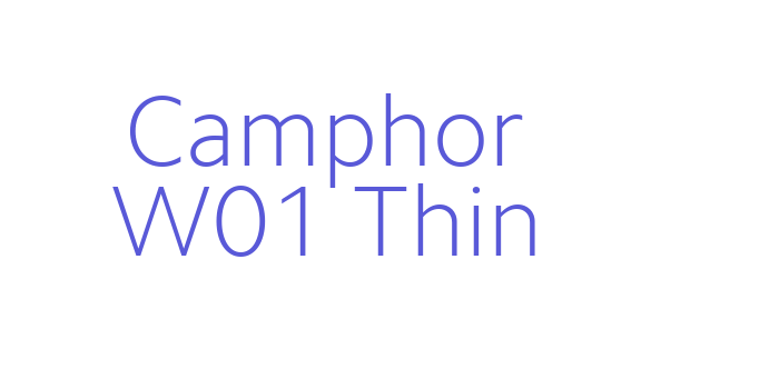 Download Camphor W01 Thin Font