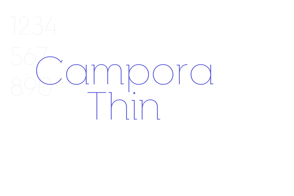 Campora Thin