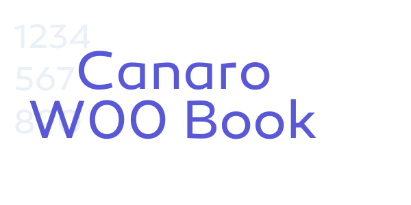 Canaro W00 Book font free