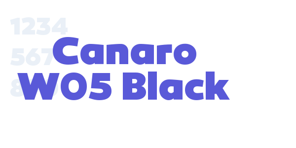 Canaro W05 Black font free