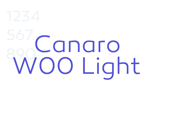 Canaro W00 Light