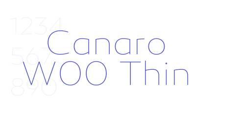 Canaro W00 Thin-font-download