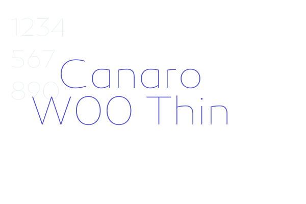 Canaro W00 Thin